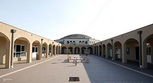 مسجد میدوهایتس